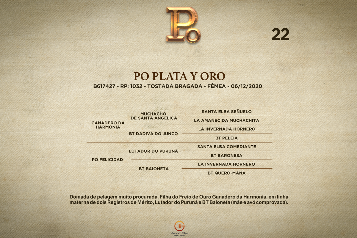 Geração PO PLATA Y ORO