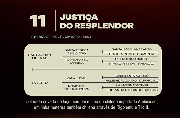 Geração JUSTIÇA DO RESPLENDOR
