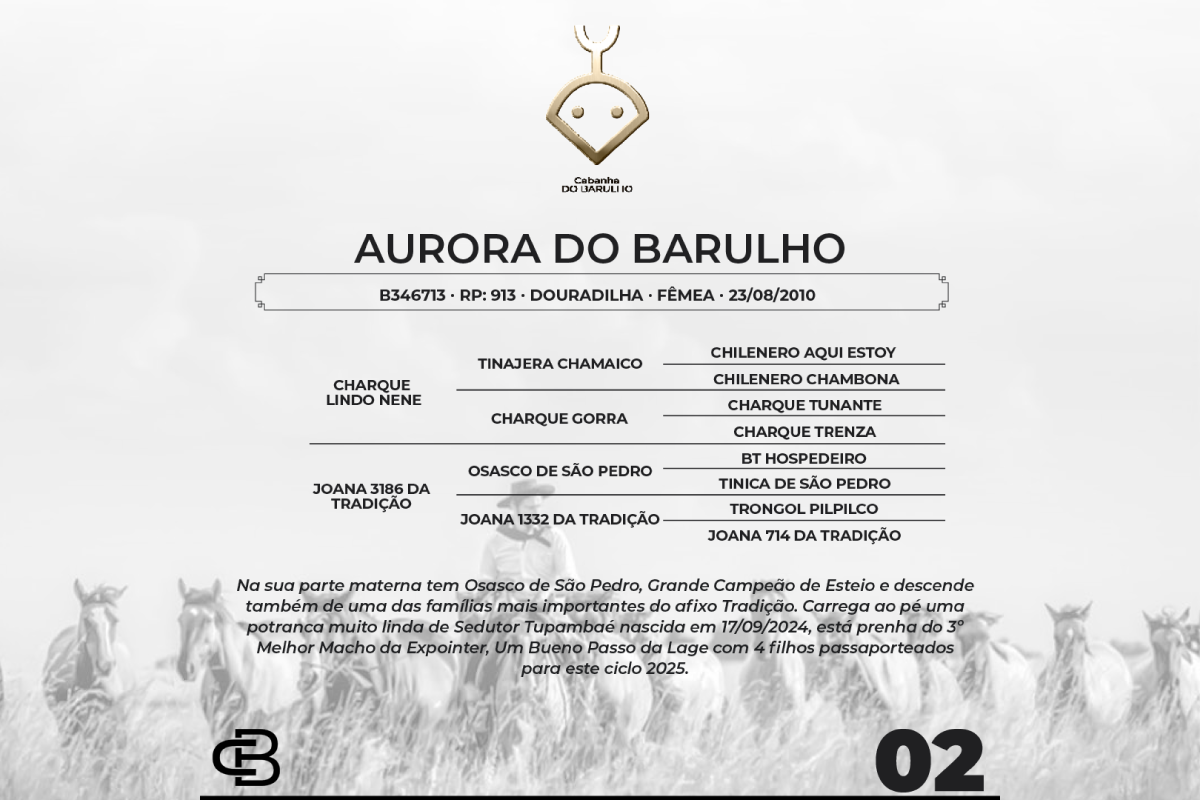 Geração AURORA DO BARULHO