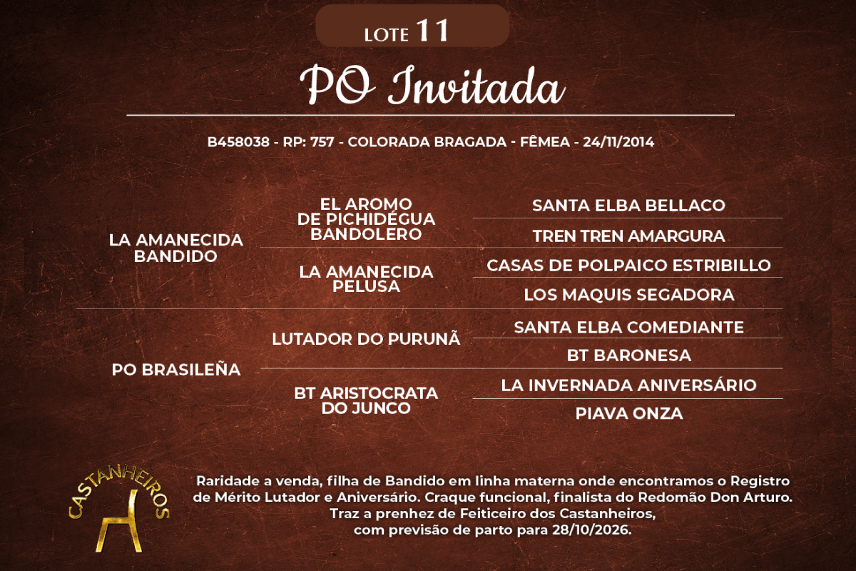 Geração PO INVITADA