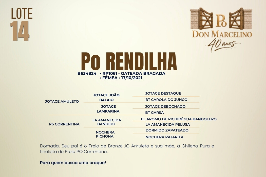 Geração PO RENDILHA