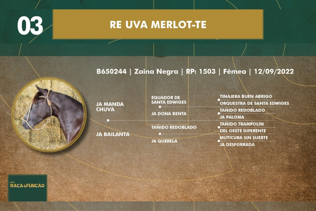 Geração RE UVA MERLOT-TE