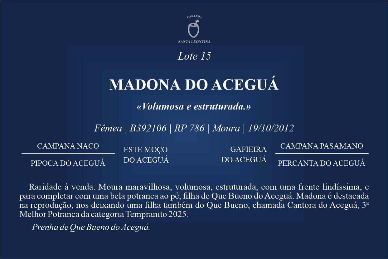 Geração MADONA DO ACEGUÁ