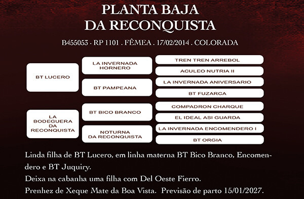 Geração PLANTA BAJA DA RECONQUISTA