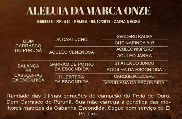 Geração ALELUIA DA MARCA ONZE