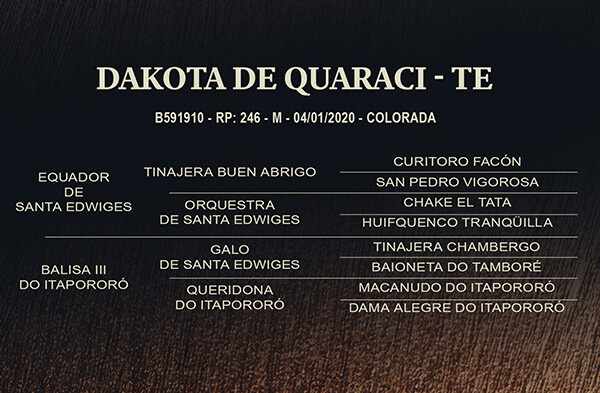 Geração DAKOTA DE QUARACI-TE