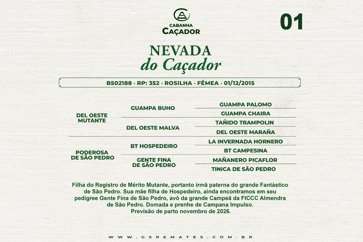 Geração NEVADA DO CAÇADOR 