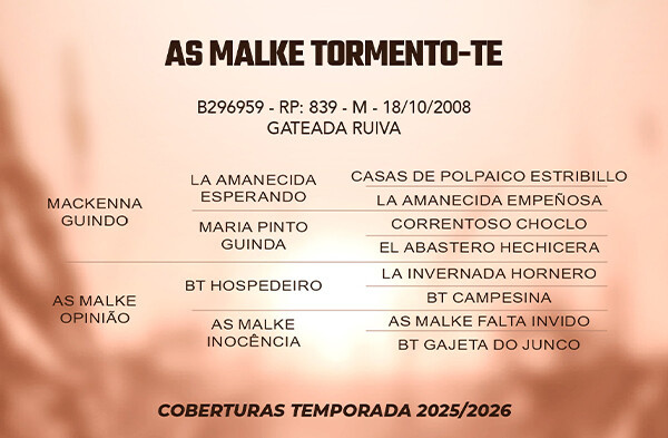 Geração AS MALKE TORMENTO - TE