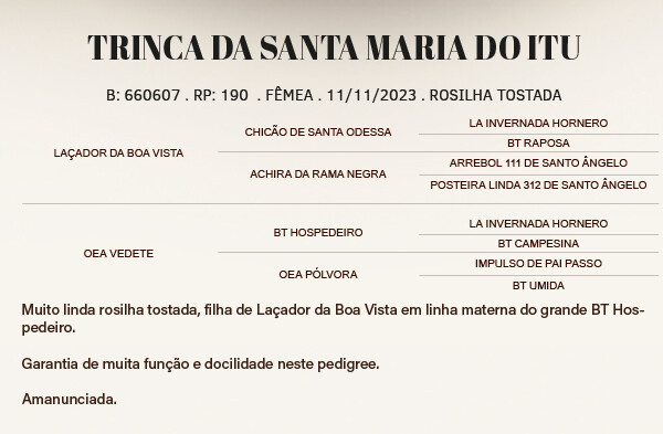 Geração TRINCA DA SANTA MARIA DO ITU