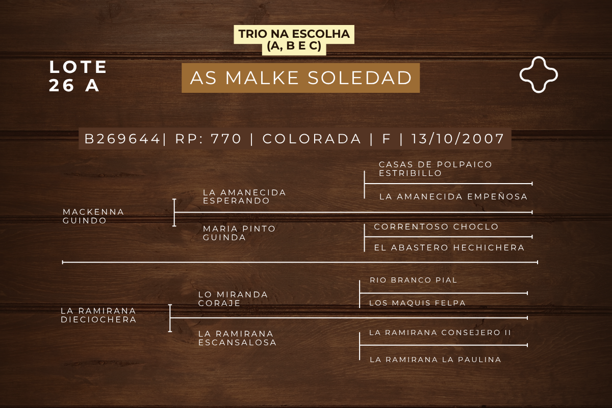 Geração NA ESCOLHA EMBRIÃO AS MALKE SOLEDAD OU ORELHANA TAPE - TE OU FANFARRONA TAPE