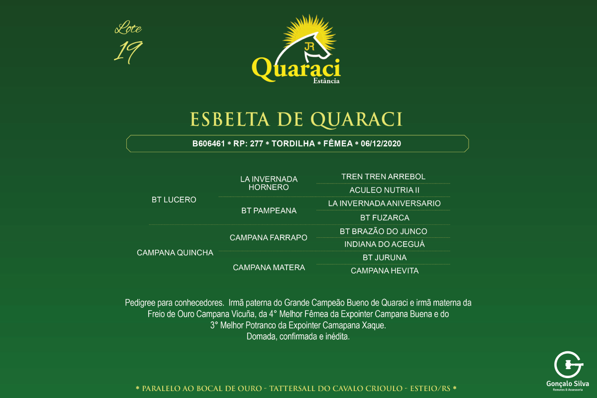 Geração ESBELTA DE QUARACI