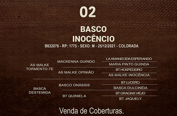 Geração BASCO INOCÊNCIO (COBERTURAS)