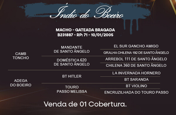 Geração COBERTURA INDIO DO BOEIRO