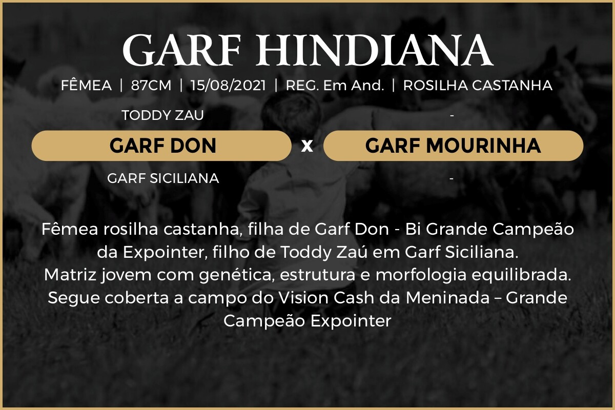 Geração GARF HINDIANA 