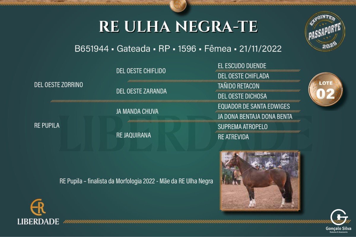 Geração RE ULHA NEGRA-TE