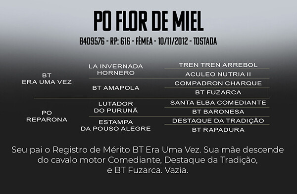 Geração PO FLOR DE MIEL 