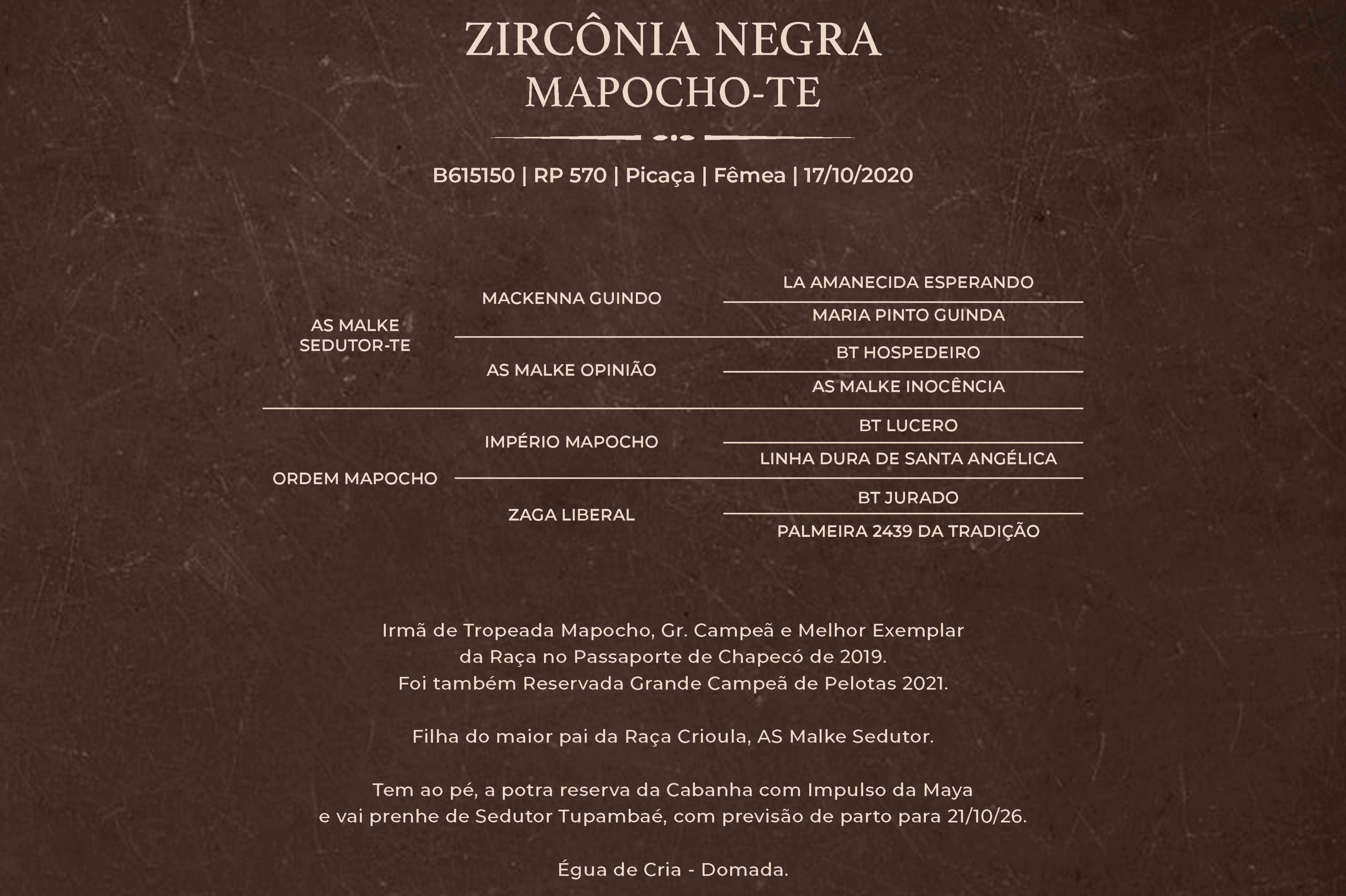 Geração ZIRCÔNIA NEGRA MAPOCHO-TE