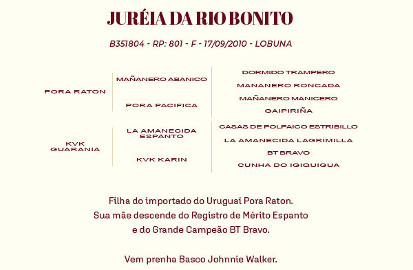 Geração JURÉIA DA RIO BONITO