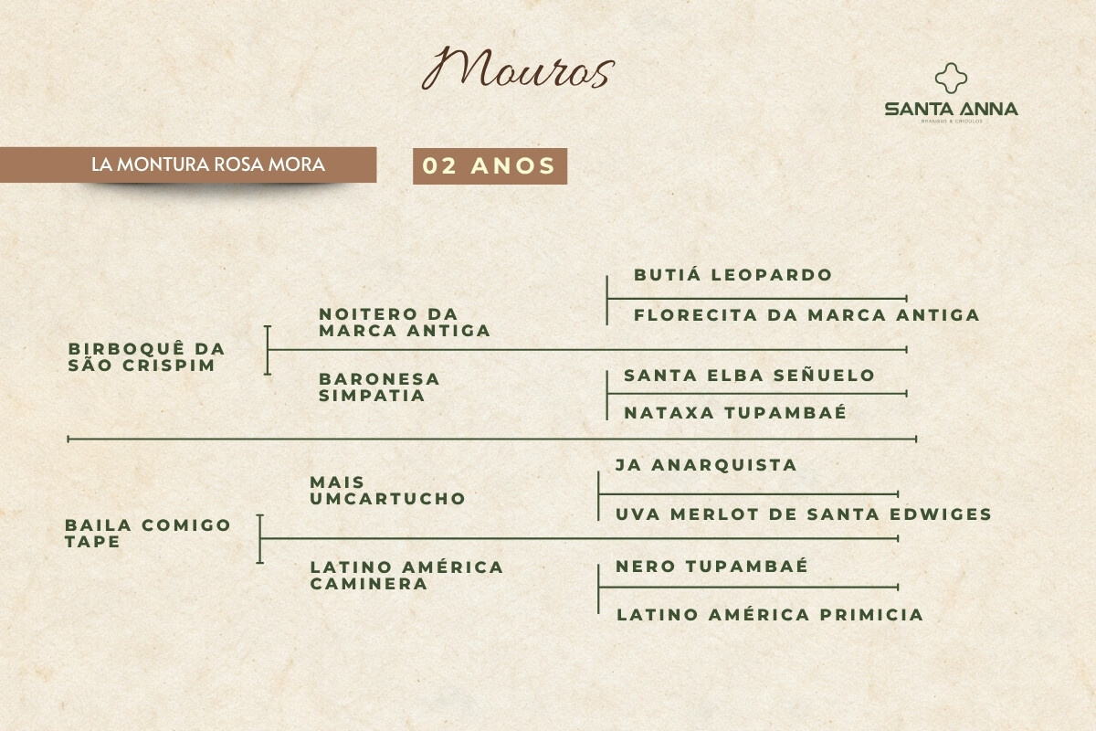 Geração LA MONTURA ROSA MORA
