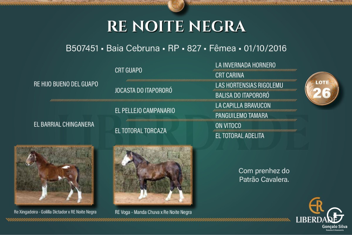 Geração RE NOITE NEGRA