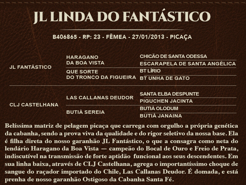 Geração JL LINDA DO FANTÁSTICO