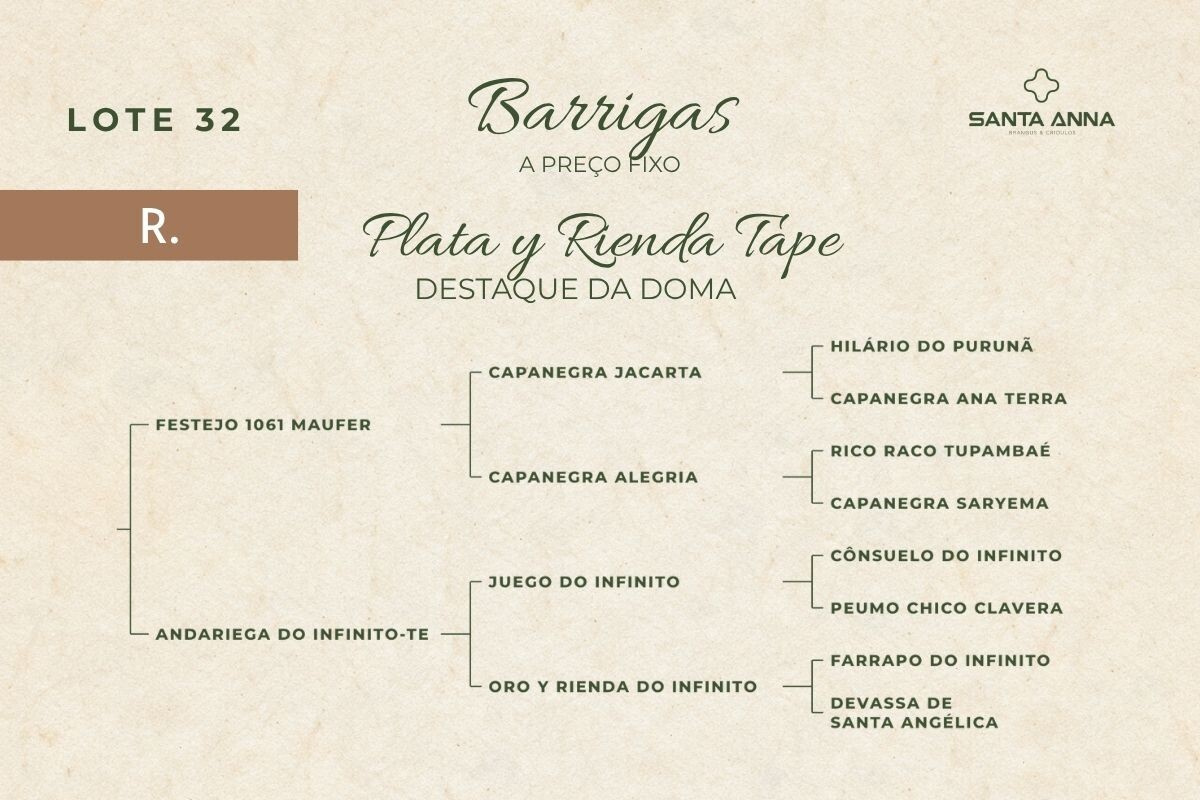 Geração PALTA Y RIENDA TAPE