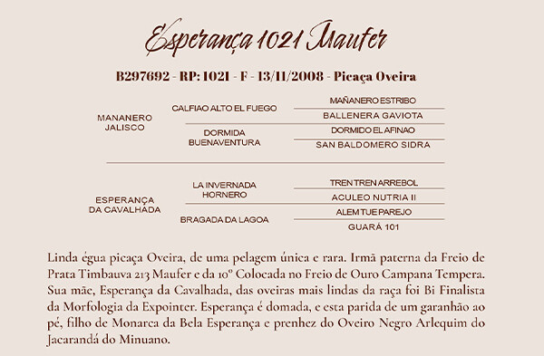 Geração ESPERANÇA 1021 MAUFER