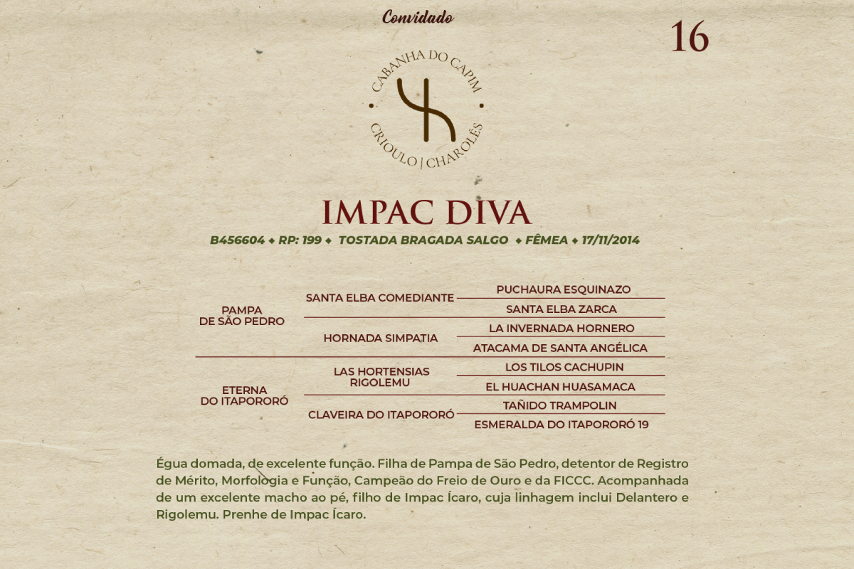Geração IMPAC DIVA
