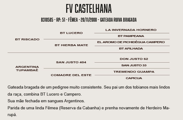Geração FV CASTELHANA