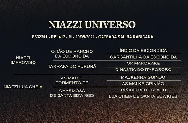 Geração NIAZZI UNIVERSO