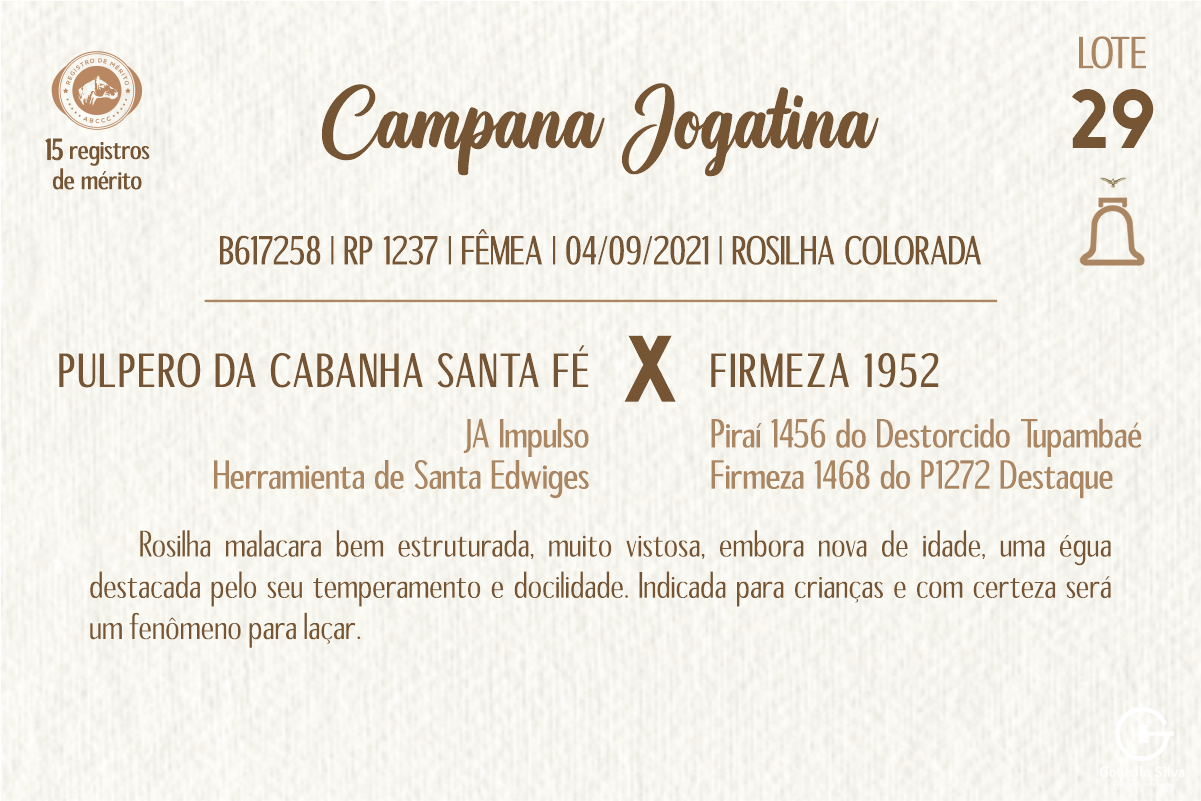 Geração CAMPANA JOGATINA