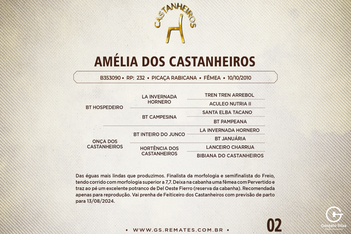 Geração AMÉLIA DOS CASTANHEIROS