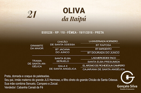 Geração OLIVA DA ITAIPÚ