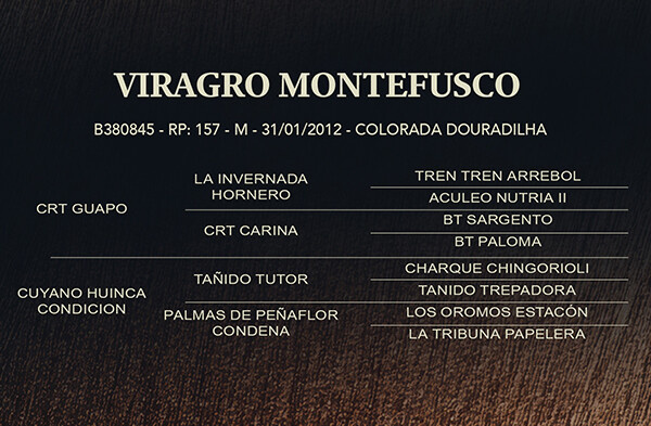 Geração VIRAGRO MONTEFUSCO