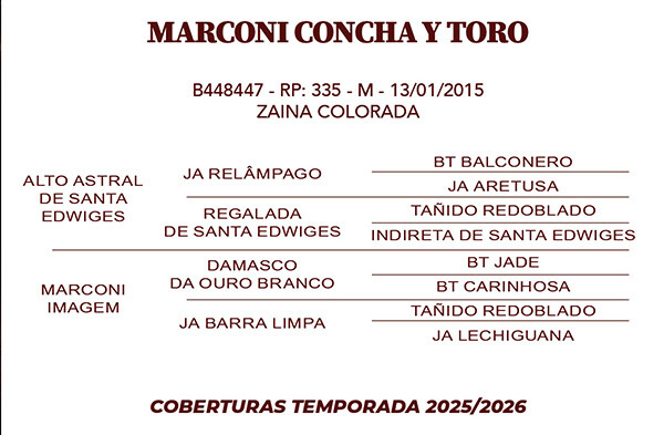 Geração MARCONI CONCHA Y TORO