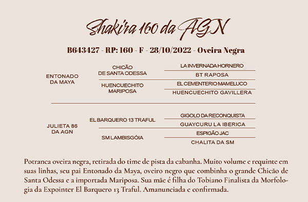 Geração SHAKIRA 160 DA AGN