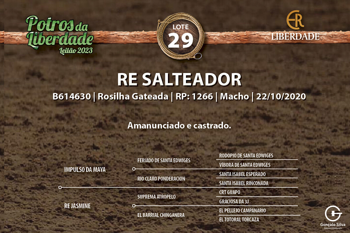 Geração RE SALTEADOR 