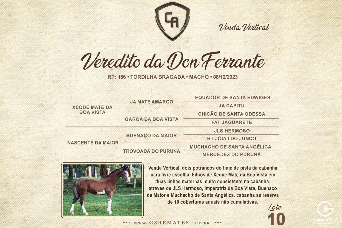 Geração VEREDITO DA DON FERRANTE (VERTICAL)