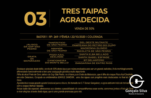 Geração TRÊS TAIPAS AGRADECIDA