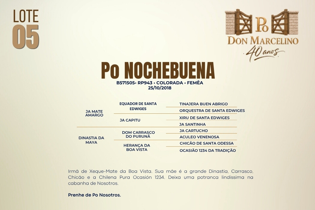 Geração PO NOCHEBUENA