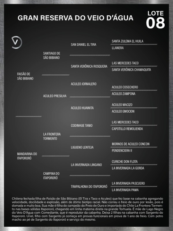 Geração GRAN RESERVA DO VEIO D'ÁGUA