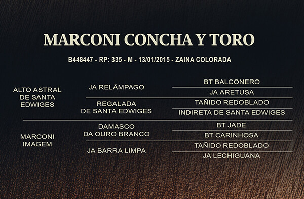 Geração MARCONI CONCHA Y TORO ou DON GONÇALO MELCHIOR