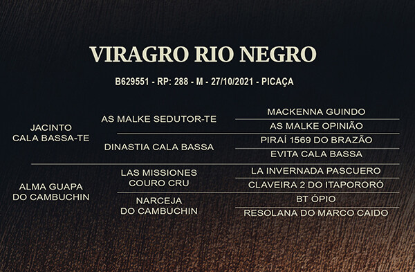 Geração VIRAGRO RIO NEGRO ou VIRAGRO RIO TORO