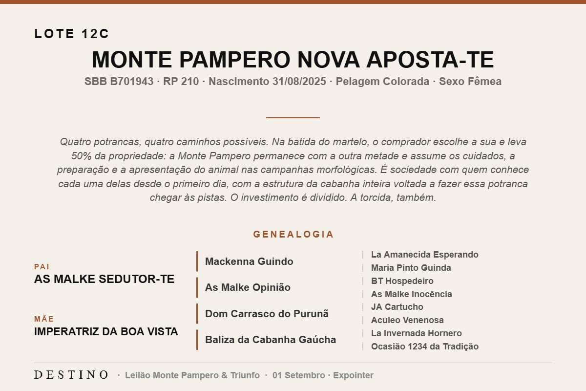 Geração MONTE PAMPERO NOVA APOSTA-TE - (Venda vertical)