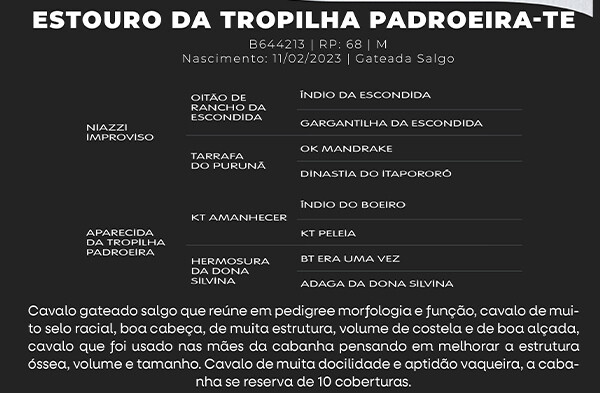 Geração ESTOURO DA TRAPILHA PADROEIRA-TE
