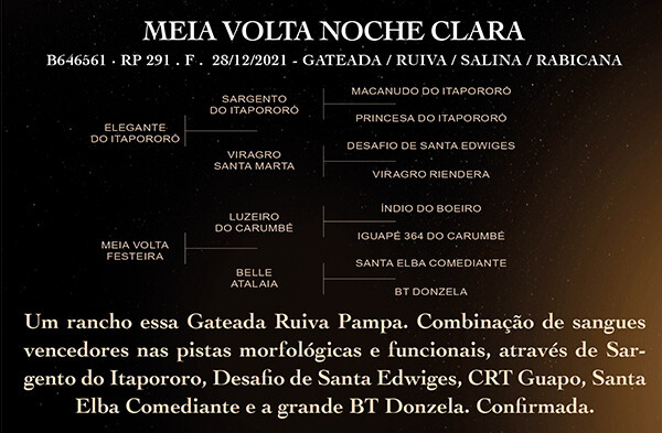Geração MEIA VOLTA NOCHE CLARA
