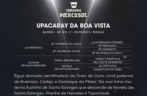 Geração UPACARAY DA BOA VISTA 
