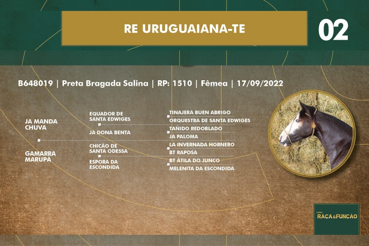 Geração RE URUGUAIANA-TE