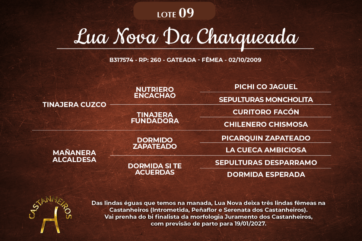Geração LUA NOVA DA CHARQUEADA