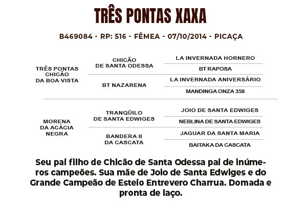 Geração TRÊS PONTAS XAXA